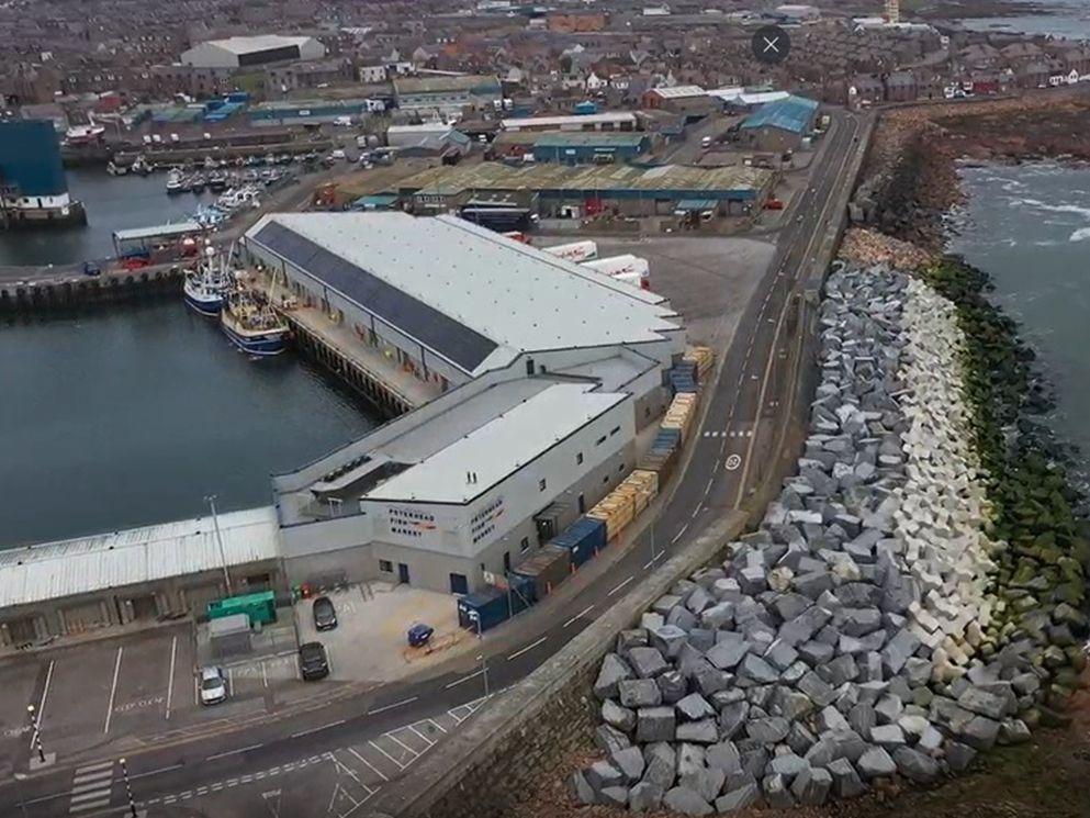 Primary Peterhead